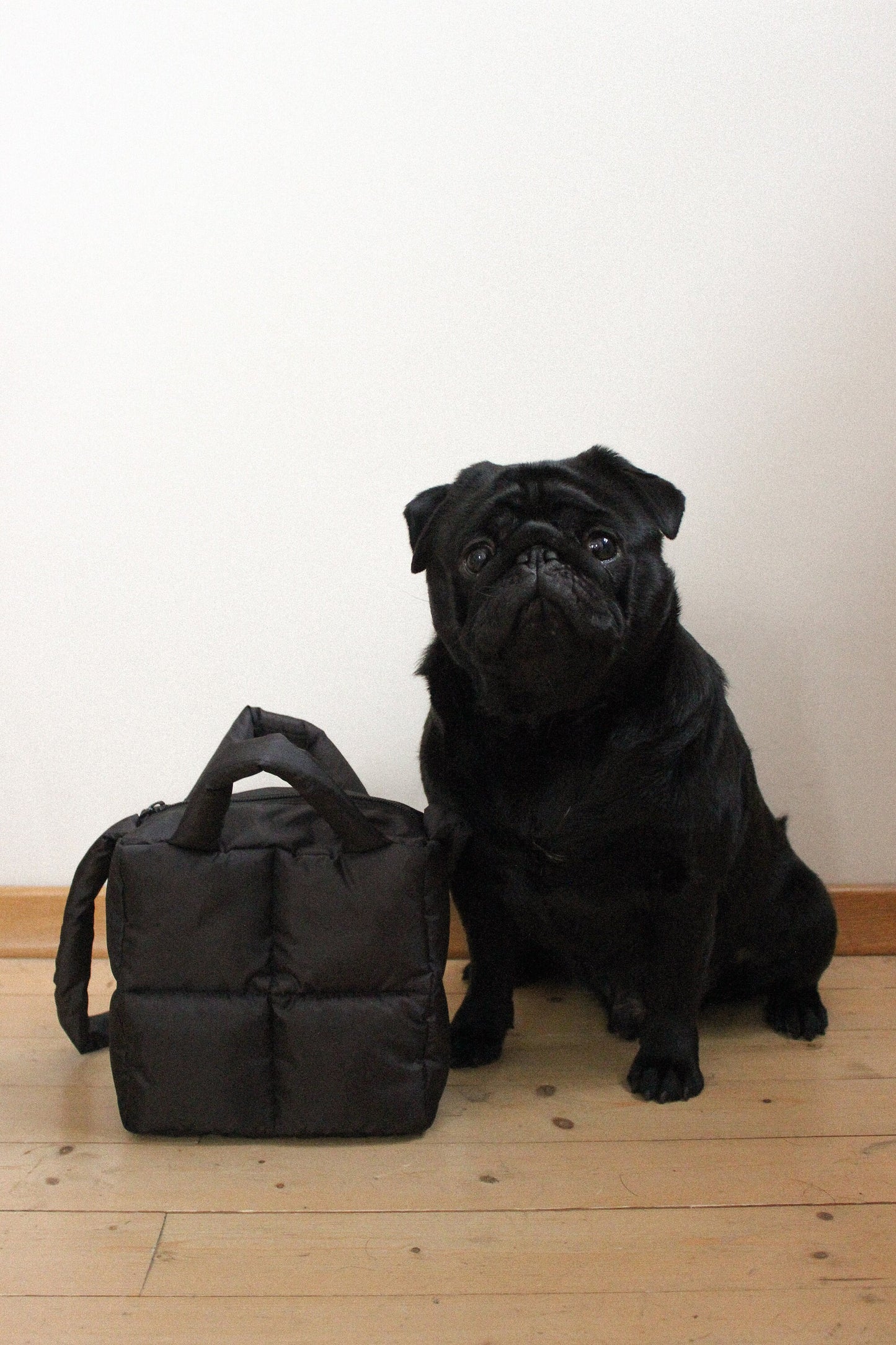 Mini Pillow Puffer Essential bag in Black