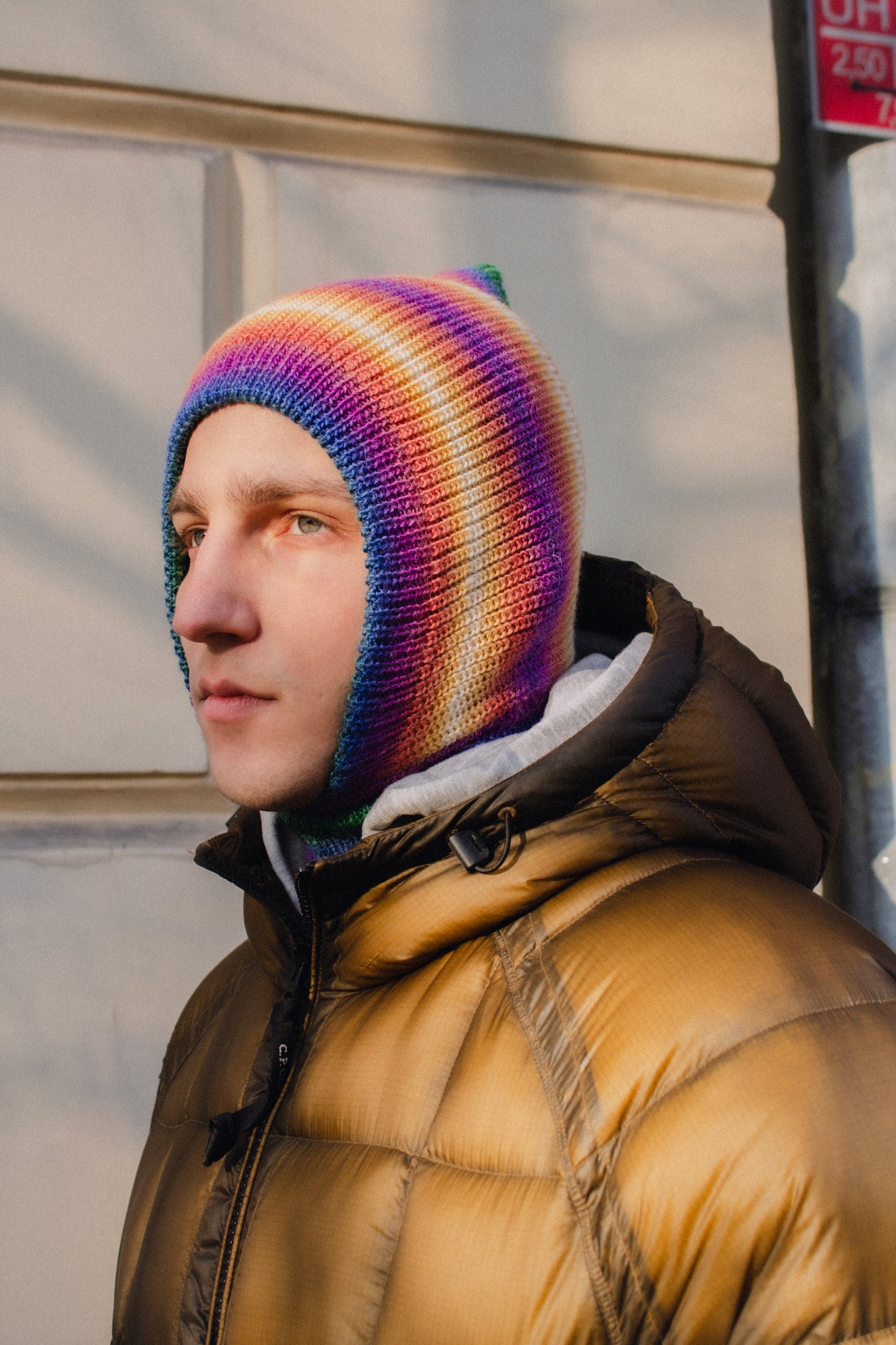 Random Spectrum Mohair Balaclava